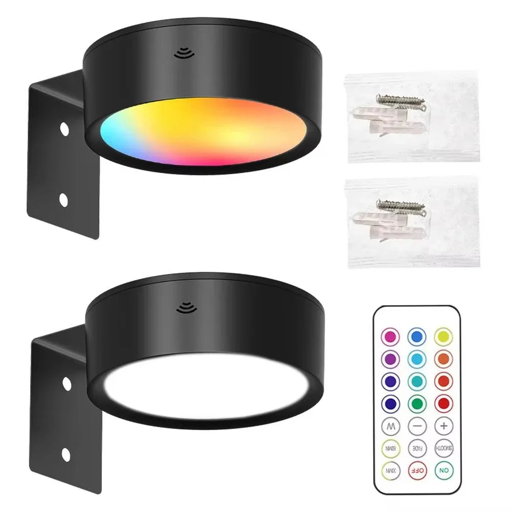 Museum Picture Light