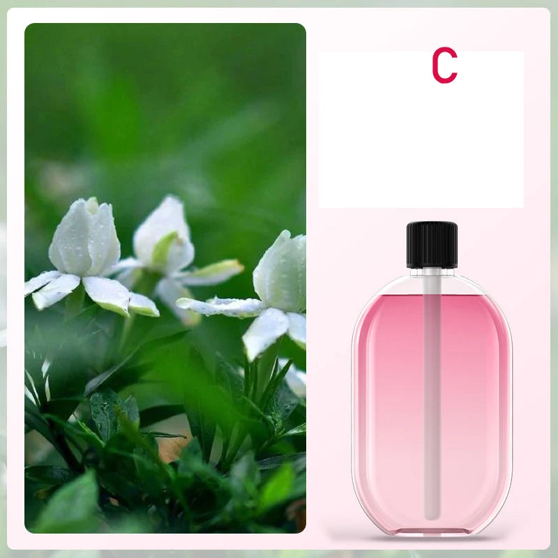 Ambient Fragrance Diffuser