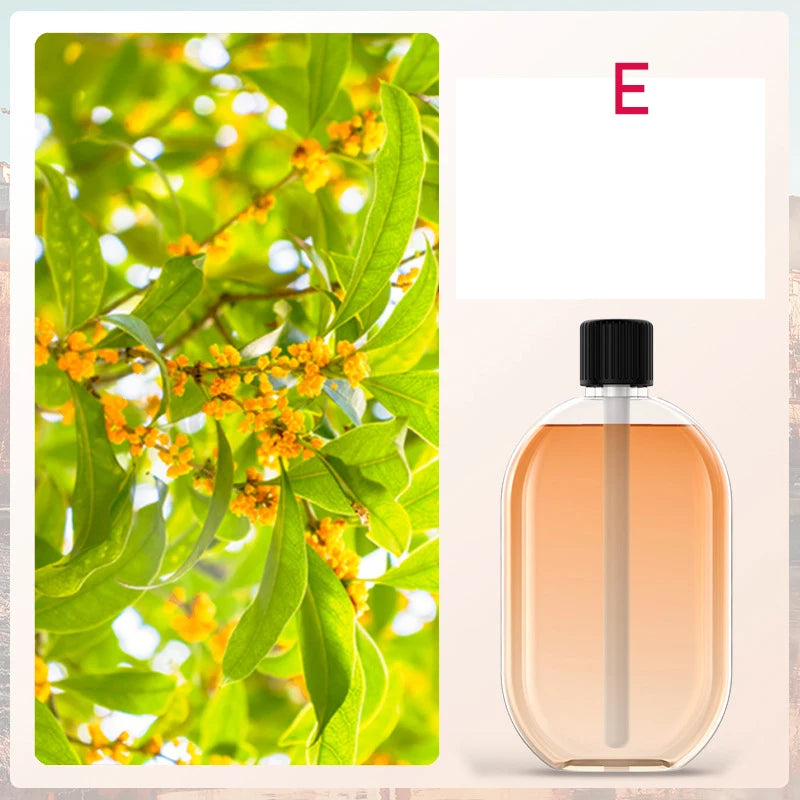 Ambient Fragrance Diffuser
